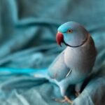 pt-instagram-5-opt-150x150